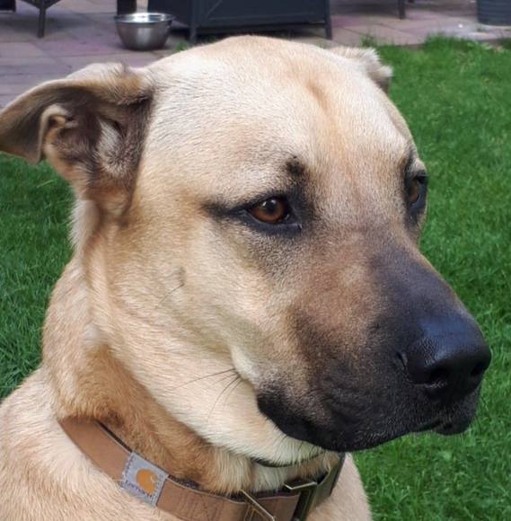 Meet your Posher, Deborah - Picture 1 of 1